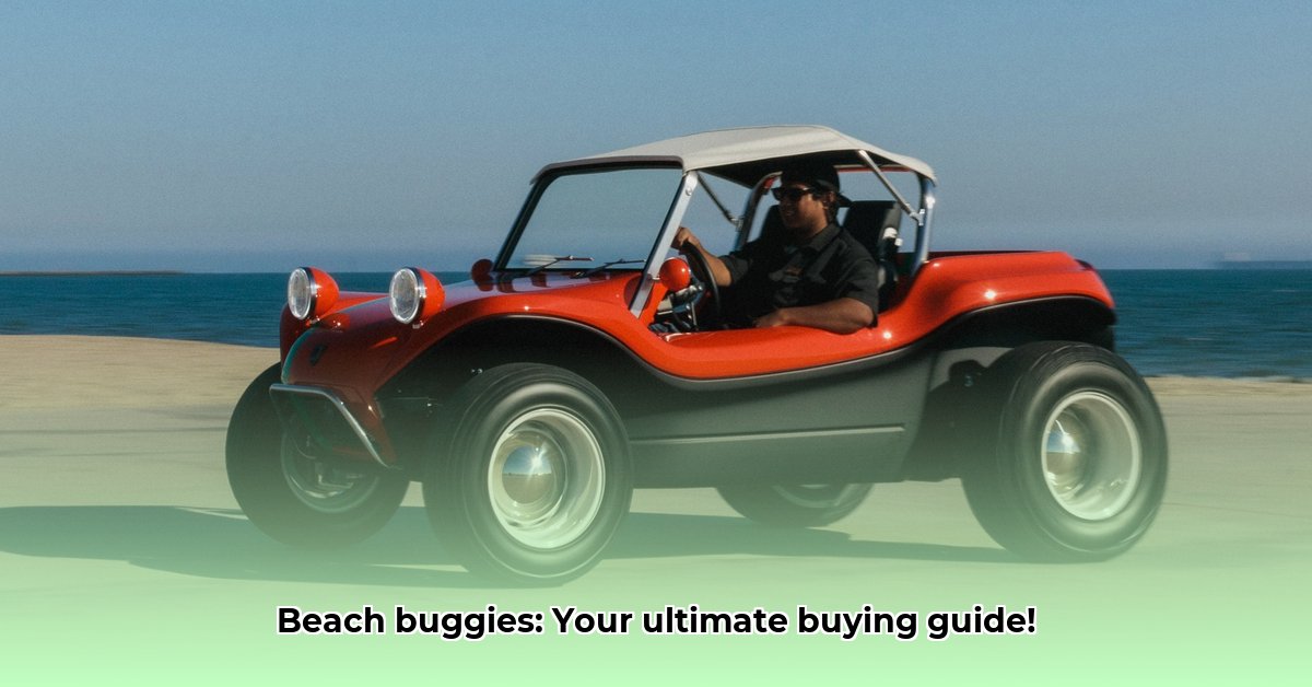 buy-a-beach-buggy